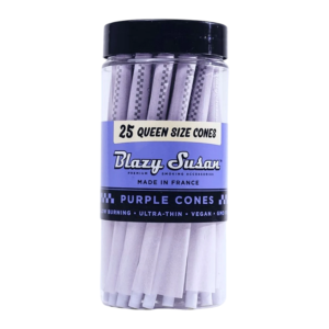 BLAZY SUSAN PURPLE CONES